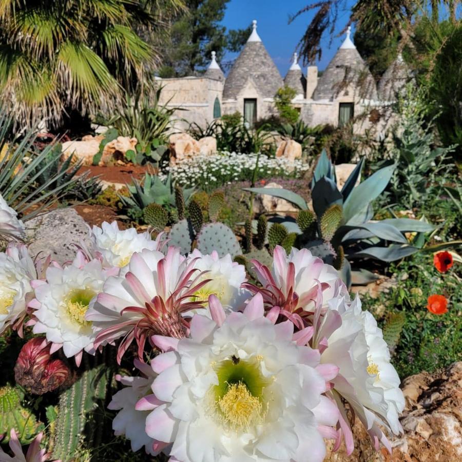 Trullo Bosco Libero Ostuni Villa Exterior photo