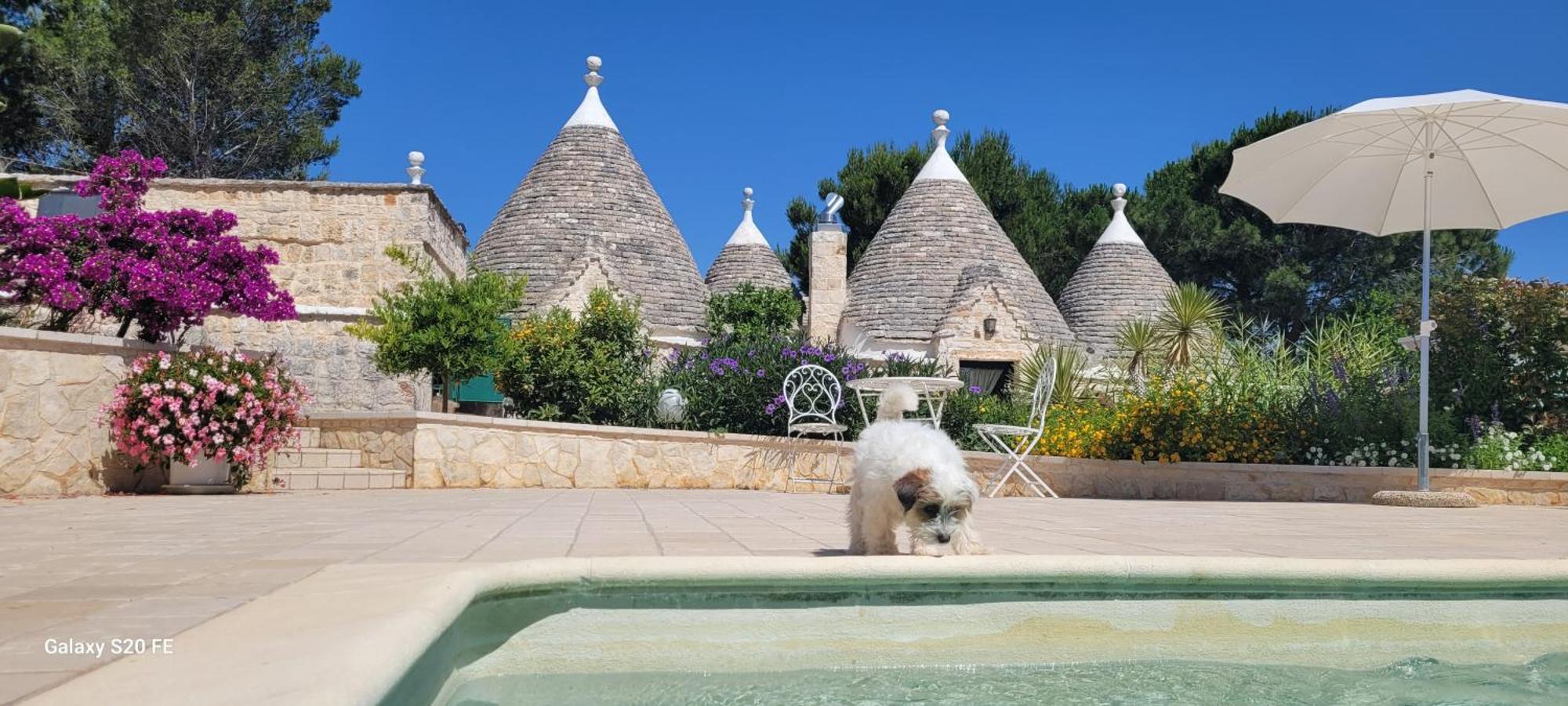 Trullo Bosco Libero Ostuni Villa Exterior photo